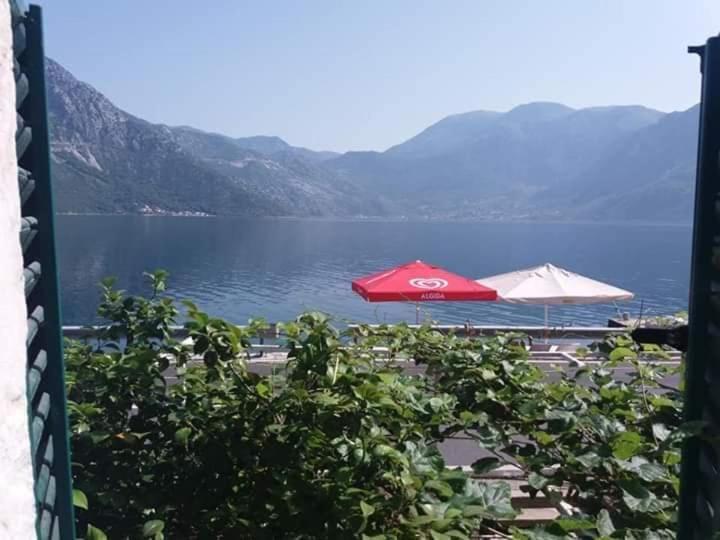 Apartments Dabovic Kotor Luaran gambar