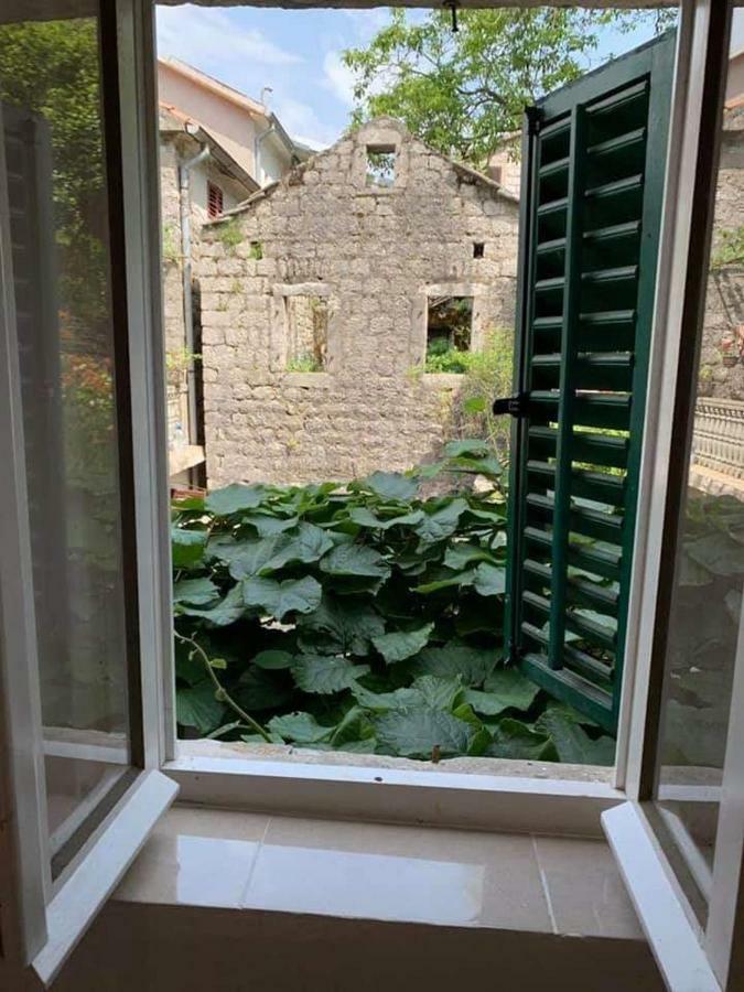 Apartments Dabovic Kotor Luaran gambar