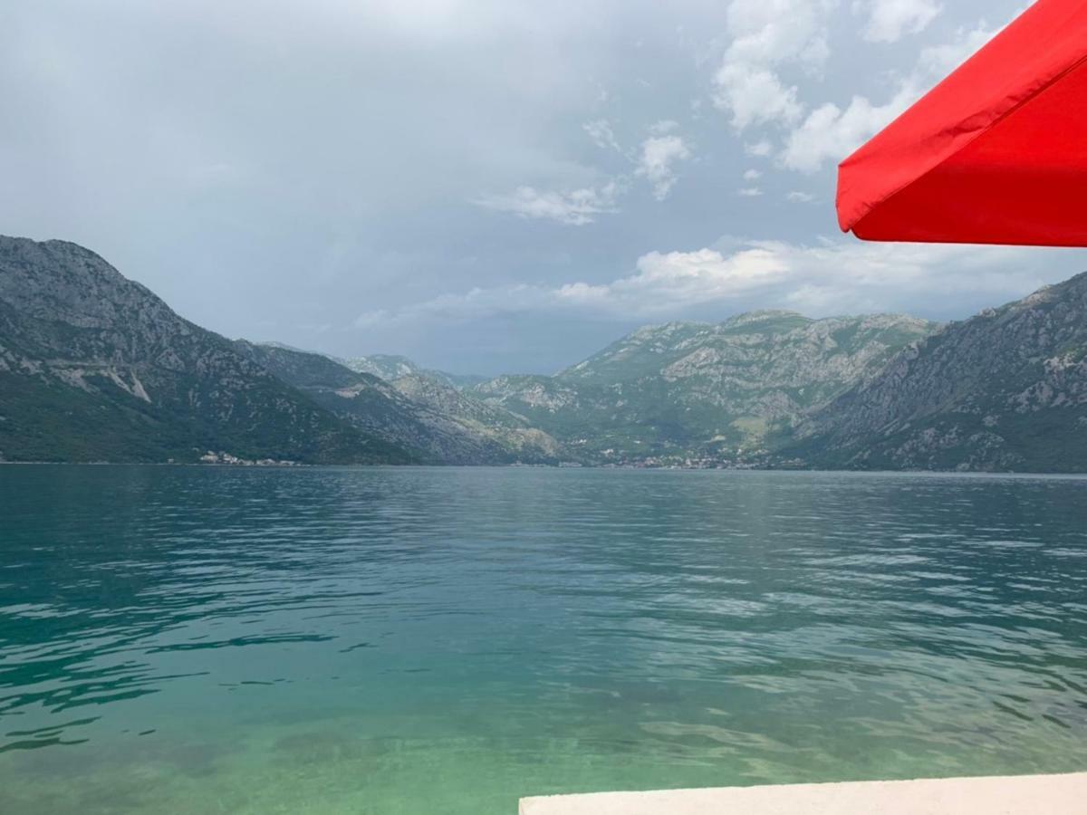 Apartments Dabovic Kotor Bilik gambar